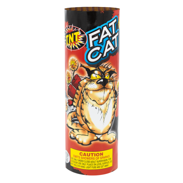 Firework Fountains Fat Cat