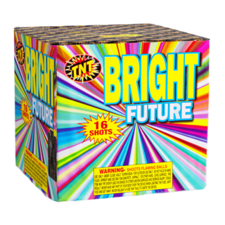 500 Gram Firework Finale Aerials Bright Future   16 Shot