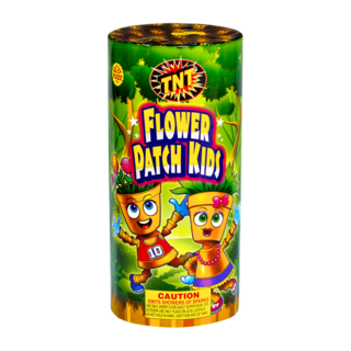 Firework Fountains Flower Patch Kids