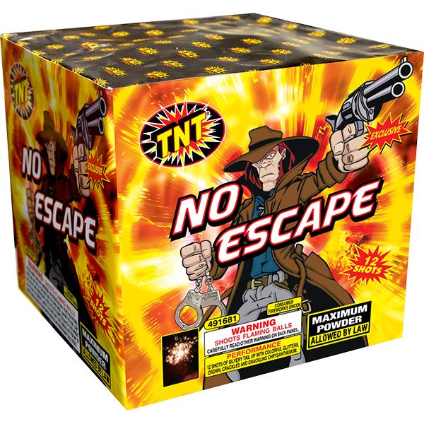 500 Gram Firework Finale Aerials No Escape