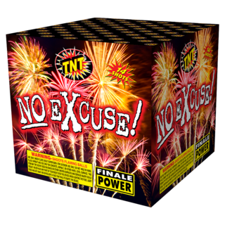 500 Gram Firework Finale Aerials No Excuse!