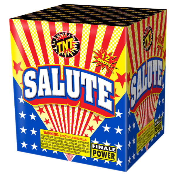 500 Gram Firework Finale Aerials Salute